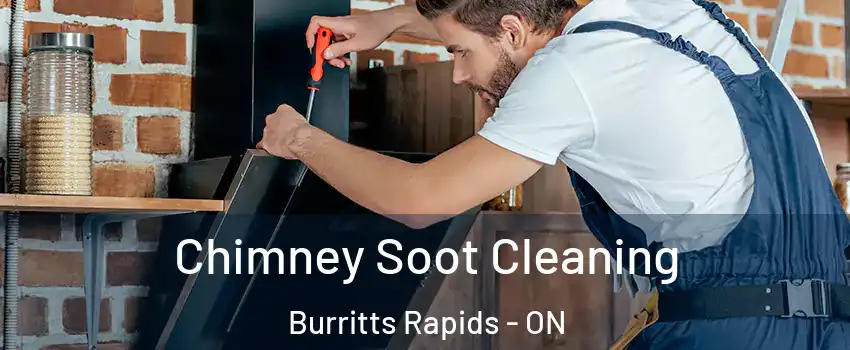  Chimney Soot Cleaning Burritts Rapids - ON