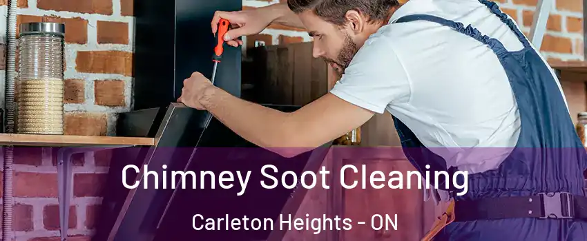  Chimney Soot Cleaning Carleton Heights - ON