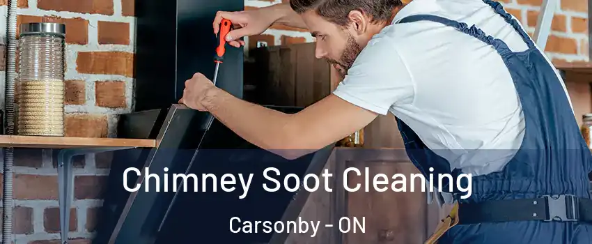  Chimney Soot Cleaning Carsonby - ON