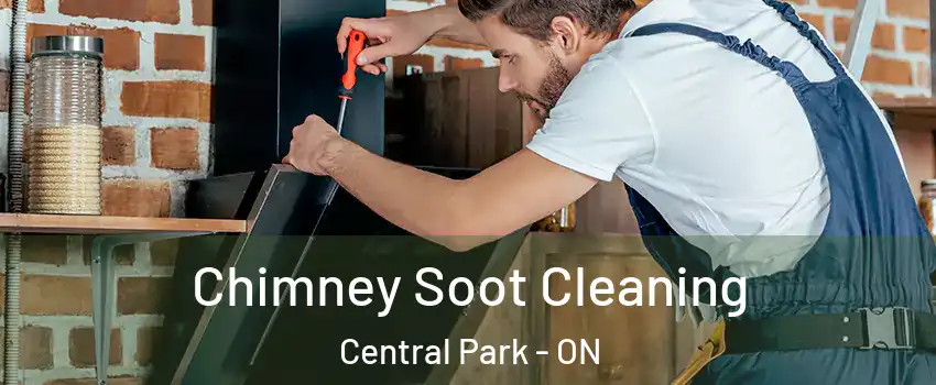  Chimney Soot Cleaning Central Park - ON