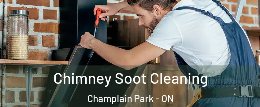  Chimney Soot Cleaning Champlain Park - ON