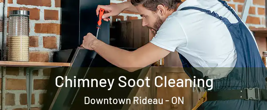  Chimney Soot Cleaning Downtown Rideau - ON