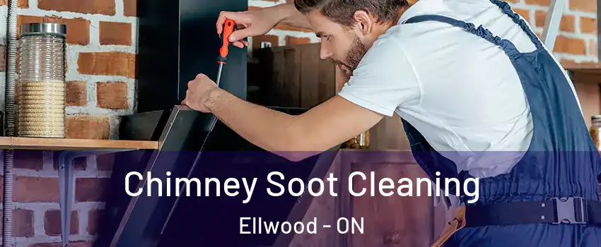  Chimney Soot Cleaning Ellwood - ON