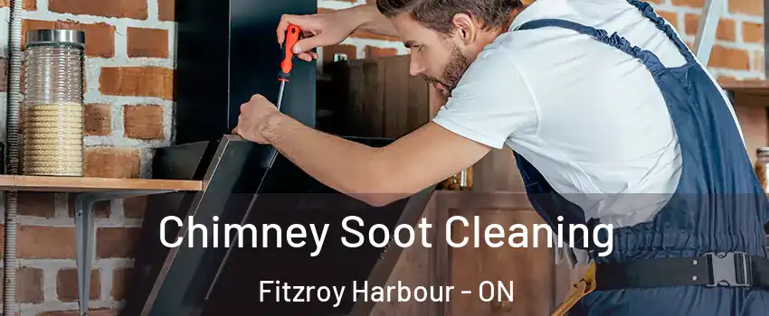  Chimney Soot Cleaning Fitzroy Harbour - ON