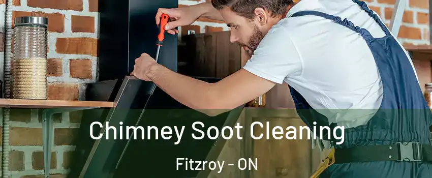  Chimney Soot Cleaning Fitzroy - ON