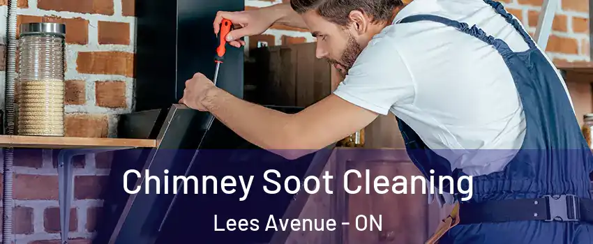  Chimney Soot Cleaning Lees Avenue - ON