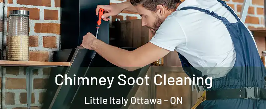  Chimney Soot Cleaning Little Italy Ottawa - ON