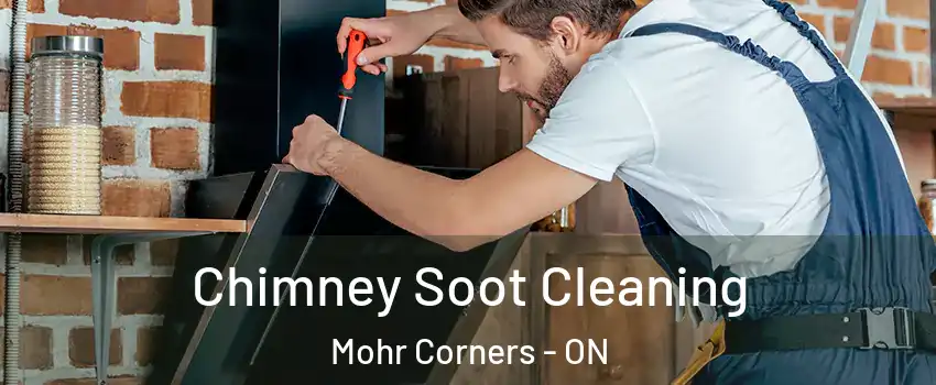  Chimney Soot Cleaning Mohr Corners - ON