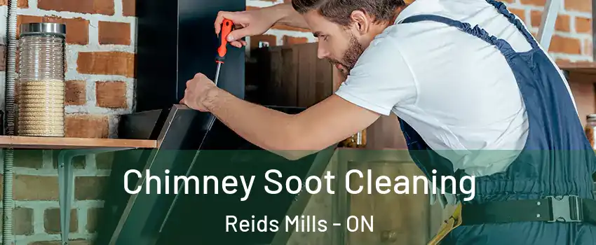  Chimney Soot Cleaning Reids Mills - ON