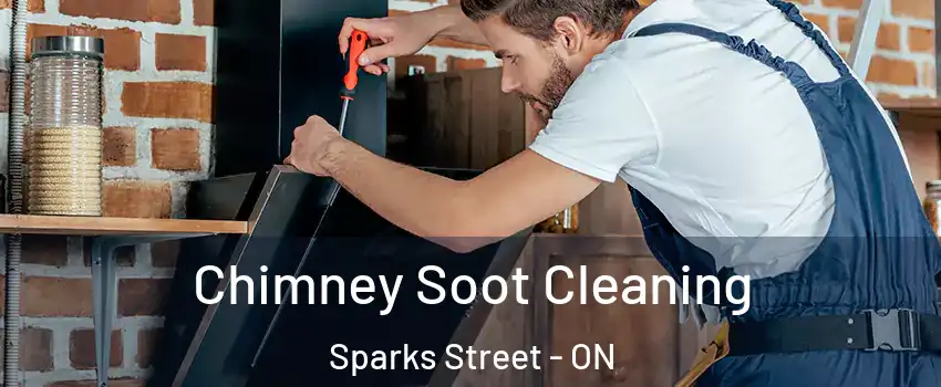  Chimney Soot Cleaning Sparks Street - ON