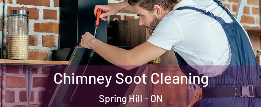  Chimney Soot Cleaning Spring Hill - ON