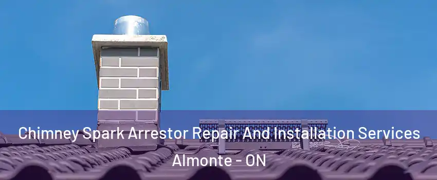  Chimney Spark Arrestor Repair And Installation Services Almonte - ON