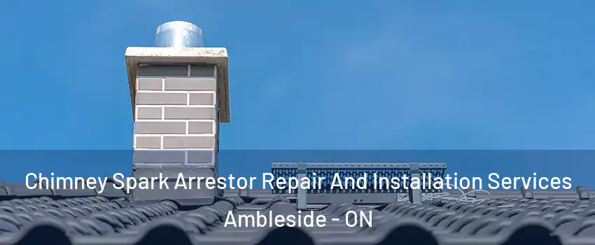  Chimney Spark Arrestor Repair And Installation Services Ambleside - ON