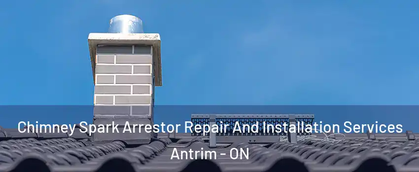  Chimney Spark Arrestor Repair And Installation Services Antrim - ON