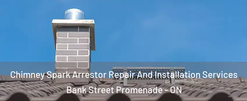 Chimney Spark Arrestor Repair And Installation Services Bank Street Promenade - ON