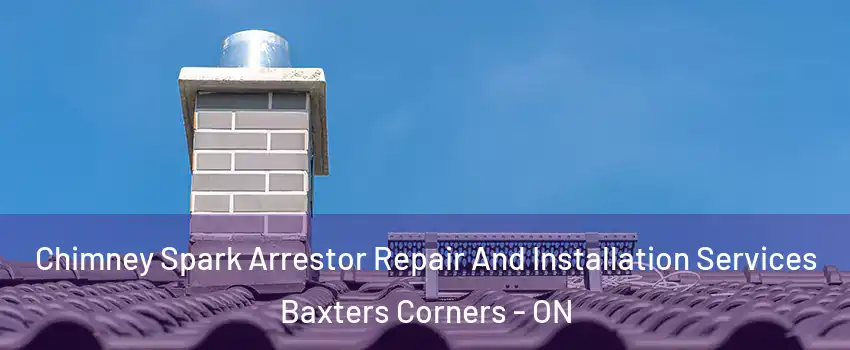  Chimney Spark Arrestor Repair And Installation Services Baxters Corners - ON