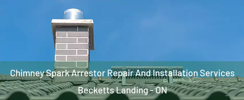  Chimney Spark Arrestor Repair And Installation Services Becketts Landing - ON