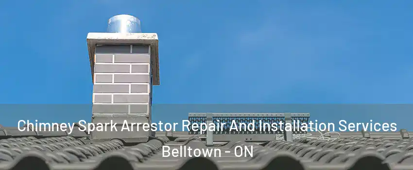  Chimney Spark Arrestor Repair And Installation Services Belltown - ON