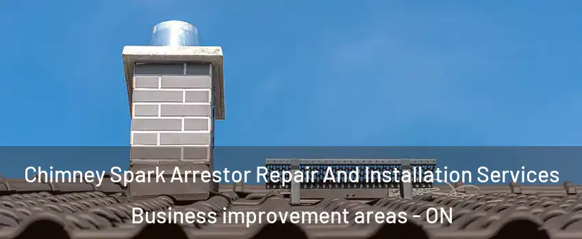  Chimney Spark Arrestor Repair And Installation Services Business improvement areas - ON