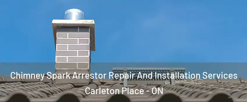  Chimney Spark Arrestor Repair And Installation Services Carleton Place - ON