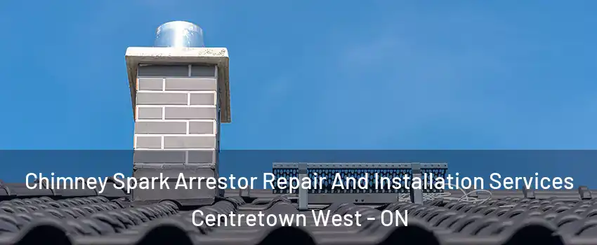  Chimney Spark Arrestor Repair And Installation Services Centretown West - ON