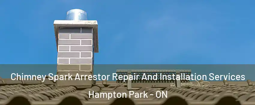  Chimney Spark Arrestor Repair And Installation Services Hampton Park - ON