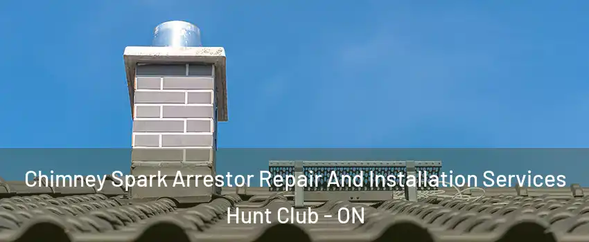  Chimney Spark Arrestor Repair And Installation Services Hunt Club - ON