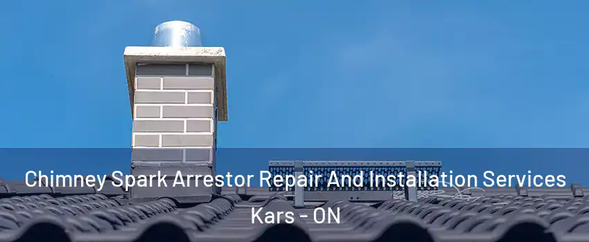  Chimney Spark Arrestor Repair And Installation Services Kars - ON