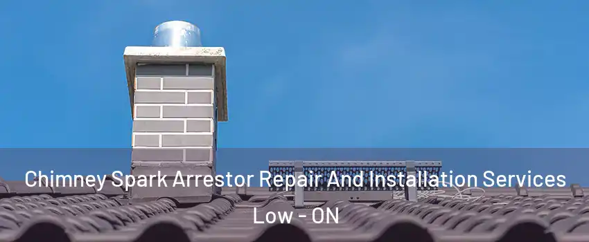  Chimney Spark Arrestor Repair And Installation Services Low - ON