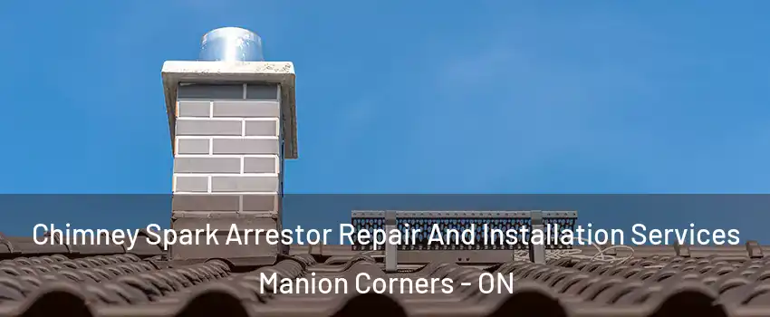  Chimney Spark Arrestor Repair And Installation Services Manion Corners - ON