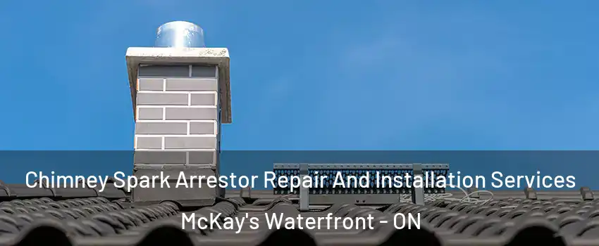  Chimney Spark Arrestor Repair And Installation Services McKay's Waterfront - ON