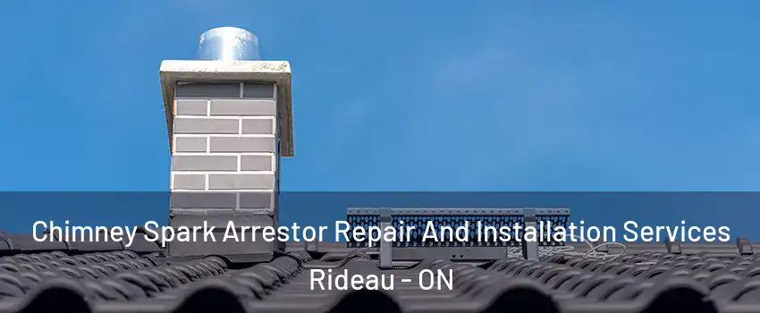  Chimney Spark Arrestor Repair And Installation Services Rideau - ON