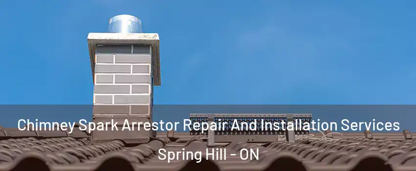  Chimney Spark Arrestor Repair And Installation Services Spring Hill - ON