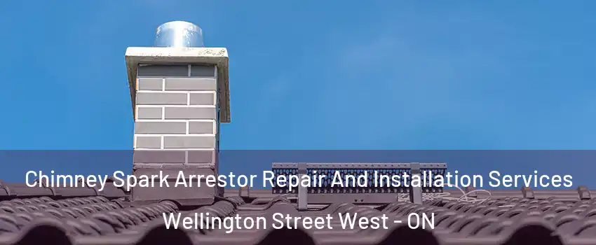  Chimney Spark Arrestor Repair And Installation Services Wellington Street West - ON