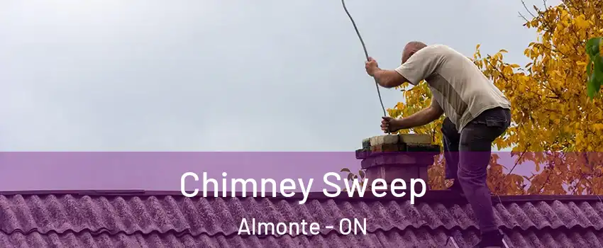  Chimney Sweep Almonte - ON