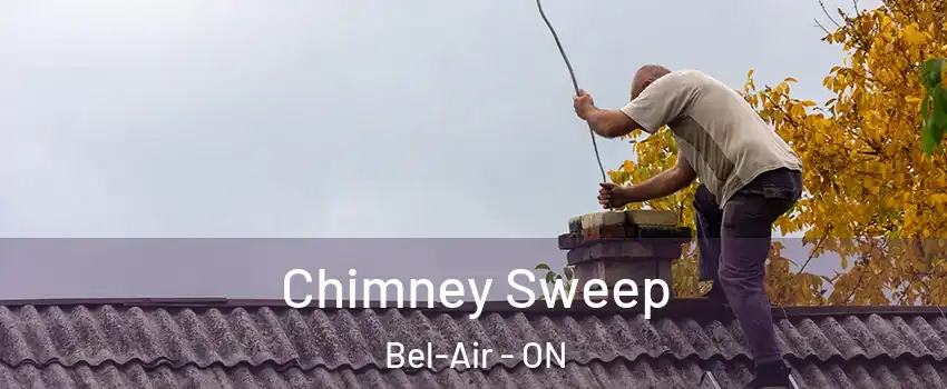  Chimney Sweep Bel-Air - ON