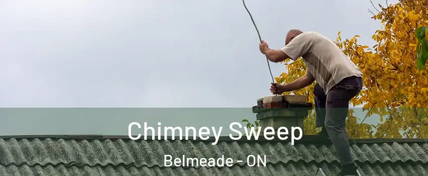  Chimney Sweep Belmeade - ON