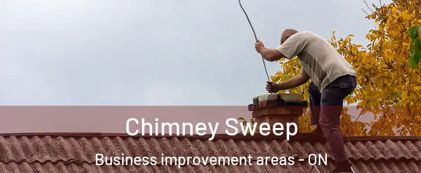  Chimney Sweep Business improvement areas - ON