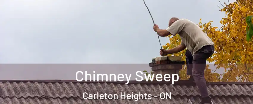  Chimney Sweep Carleton Heights - ON