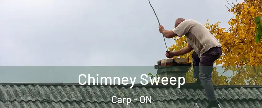  Chimney Sweep Carp - ON