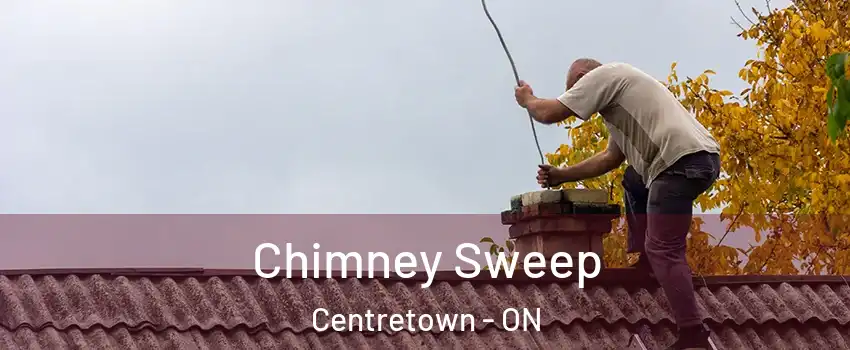  Chimney Sweep Centretown - ON