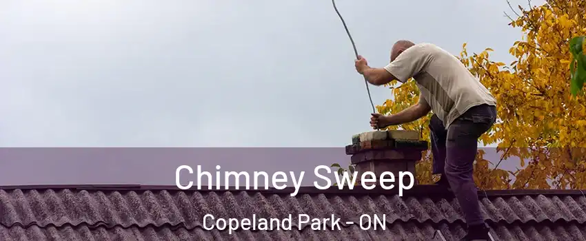  Chimney Sweep Copeland Park - ON