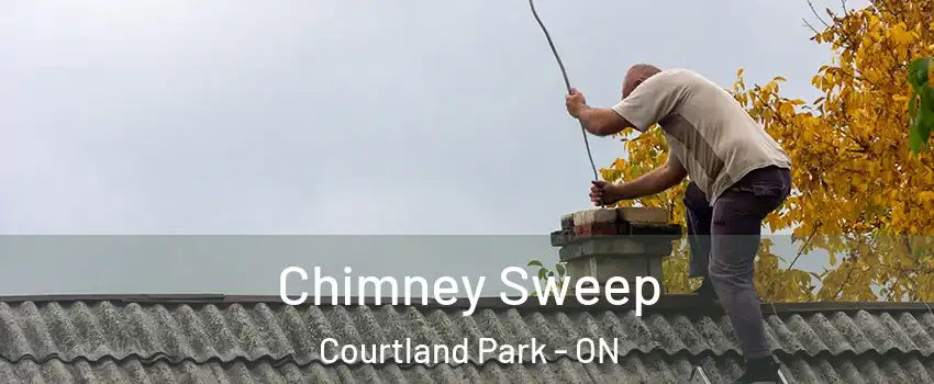  Chimney Sweep Courtland Park - ON