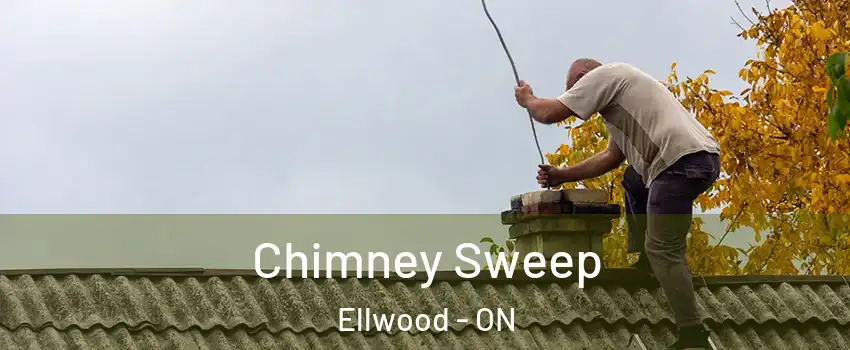  Chimney Sweep Ellwood - ON