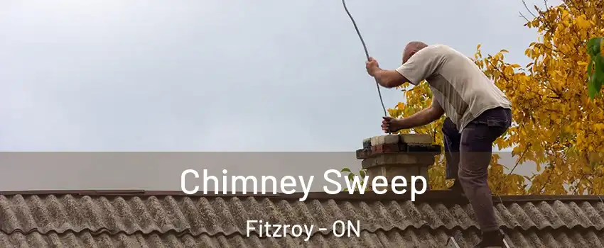  Chimney Sweep Fitzroy - ON