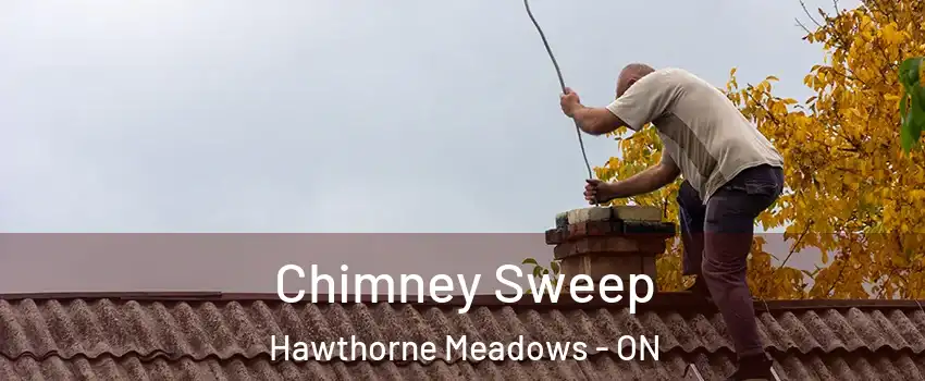  Chimney Sweep Hawthorne Meadows - ON