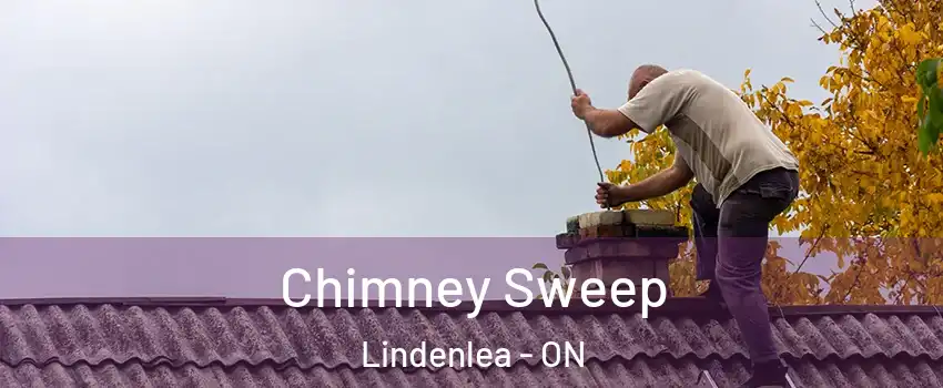  Chimney Sweep Lindenlea - ON