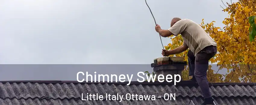  Chimney Sweep Little Italy Ottawa - ON