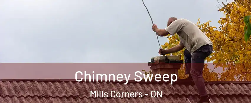  Chimney Sweep Mills Corners - ON