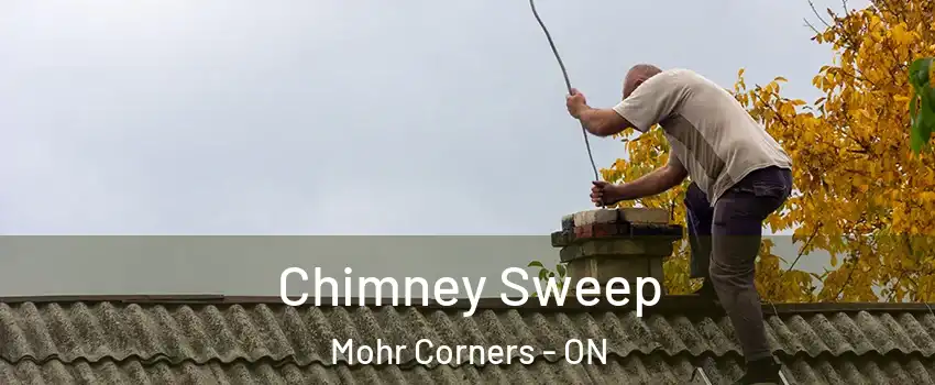  Chimney Sweep Mohr Corners - ON